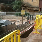 Zoo de Barcelona 20-01-2011 035