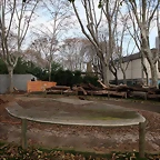 Zoo de Barcelona 20-01-2011 037