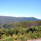 DSCN6990