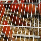 IMG_20170122_115758