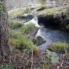 DSCN9003