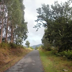 DSCN8406