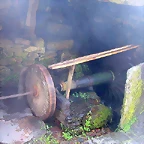 DSCN6765