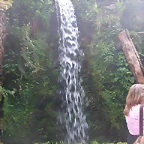 DSCN6788