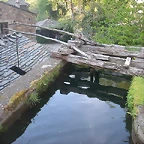 DSCN6771