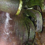 DSCN6780