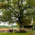 37-IMG_3895