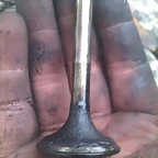 IMAG0678