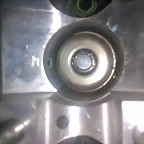 IMAG0695