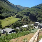 DSCN4667