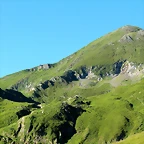 IMG_7259