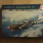 P-40 N (1) Sarita