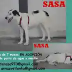 SASA aguasxmastn