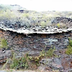 DSCN0044