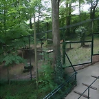 Beauval agost 2010 206