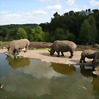 Beauval agost 2010 1403
