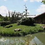 Beauval agost 2010 228