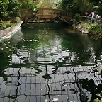 Beauval agost 2010 289