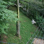 Beauval agost 2010 205