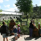 Beauval agost 2010 224