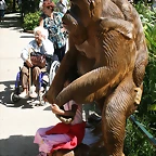 Beauval agost 2010 225