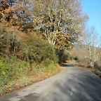 DSCN6735