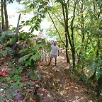 DSCN7504