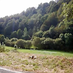 DSCN9639