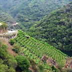 DSCN6131'2