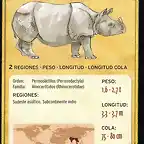rinoceronte indio