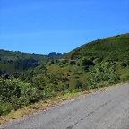 48-IMG_2443