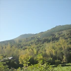 DSCN9980