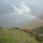 DSCN6336