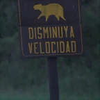 Argentina 2010 494