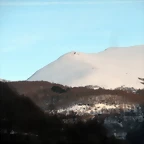 DSCN2584