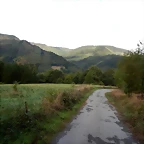 DSCN6937