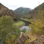 DSCN8431