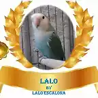 AGARPONI GANADOR