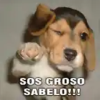 sos_groso_sabelo