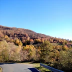 DSCN9507