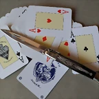 SAM_2184