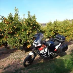 DSC00509