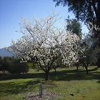 SAM_0462