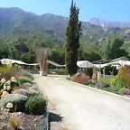 SAM_0466