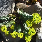 SAM_0468
