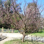 SAM_0464