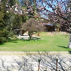 SAM_0465
