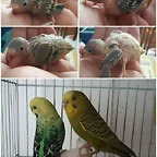 FB_IMG_1496066140914