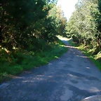 DSCN5506