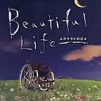 Beautiful Life